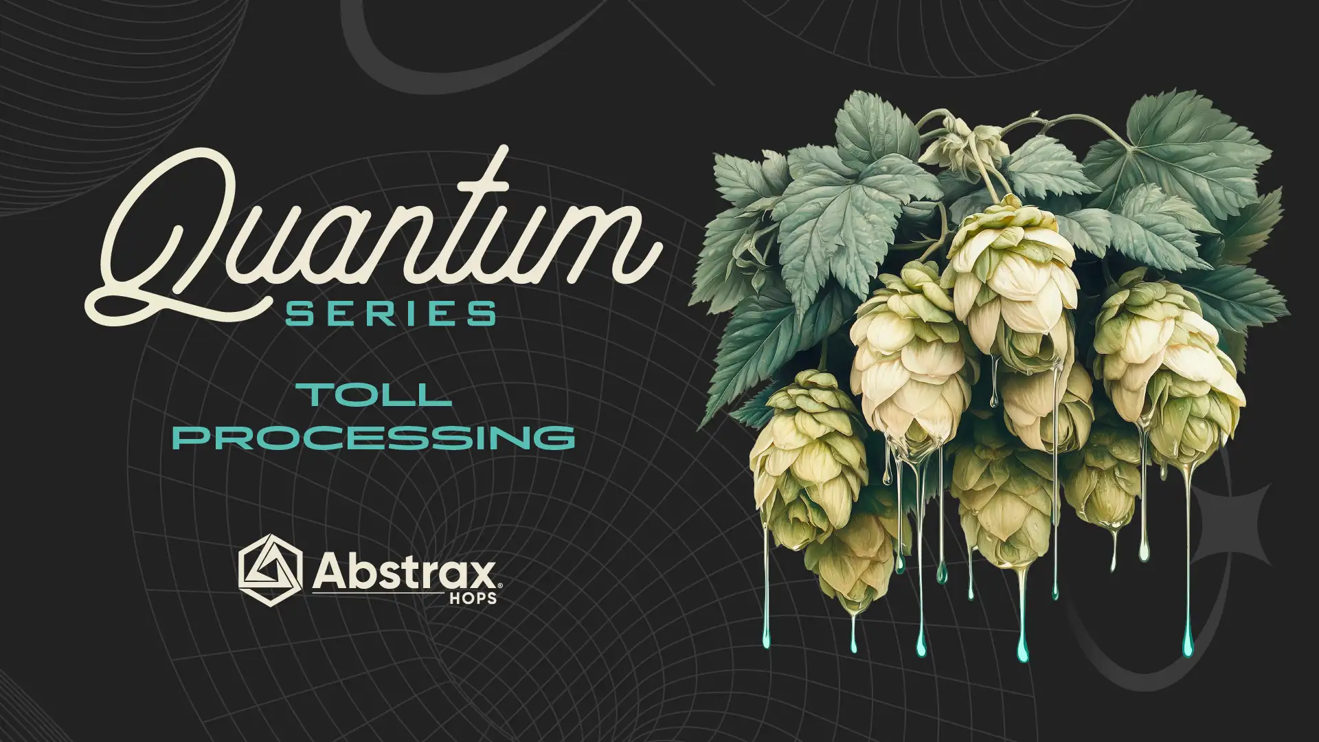 Quantum Series Toll Processing featured image